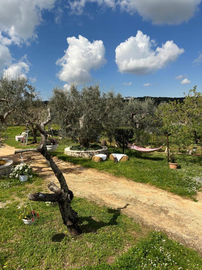 Гостевой дом Trulli Barsento Альберобелло Экстерьер фото