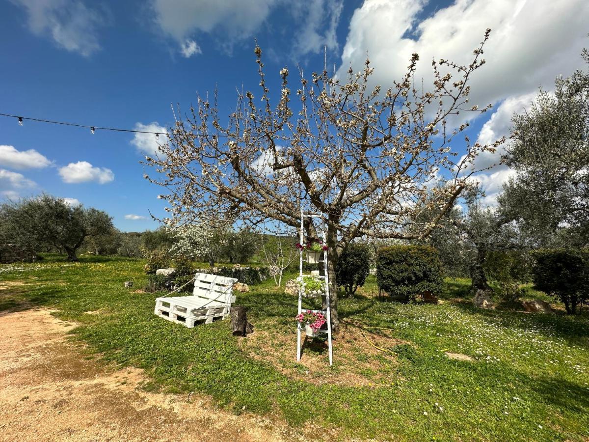 Гостевой дом Trulli Barsento Альберобелло Экстерьер фото