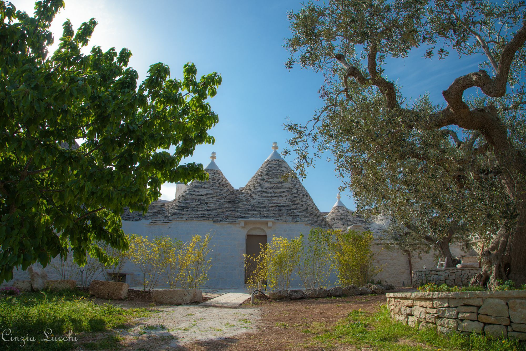 Гостевой дом Trulli Barsento Альберобелло Экстерьер фото